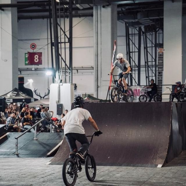 Foto-BMX-Baum